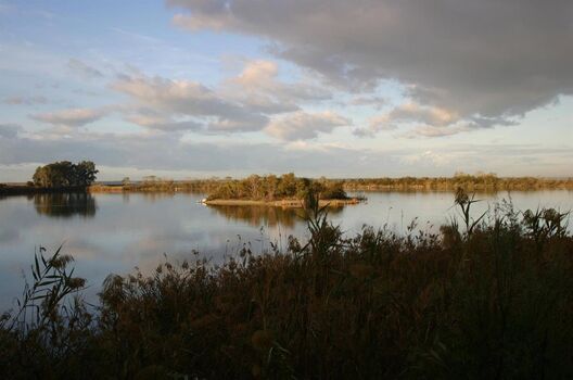 Full leaked Juliebacha private onlyfans photo