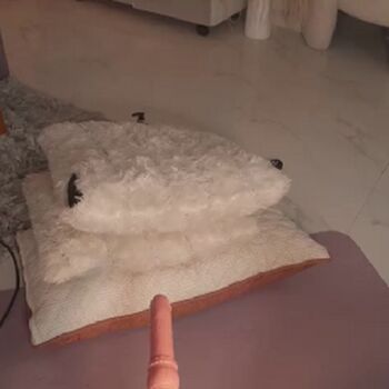 Full leaked Kateowens private onlyfans photo