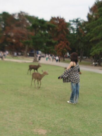 Full leaked Kazuha nakamura  page private onlyfans photo