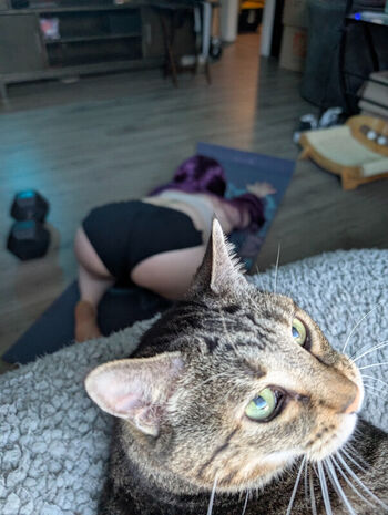 Full leaked Kitty bit games page private onlyfans photo