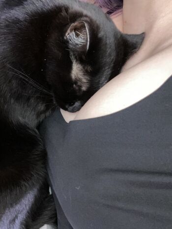 Full leaked Kson onair page private onlyfans photo