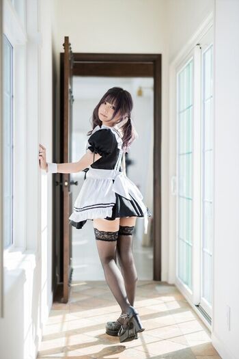 kurumipurarine