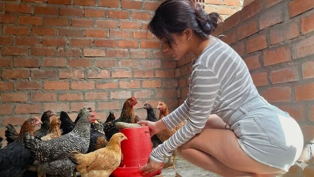 Full leaked La criadora de gallinas private onlyfans photo