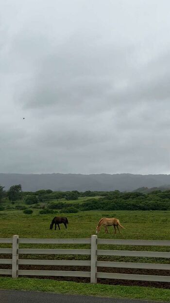 Full leaked Lauren johnson private onlyfans photo