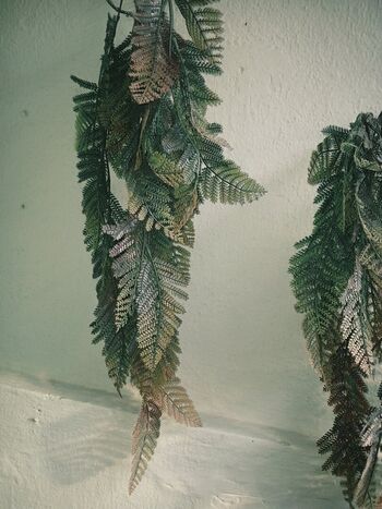 Full leaked Lena private onlyfans photo