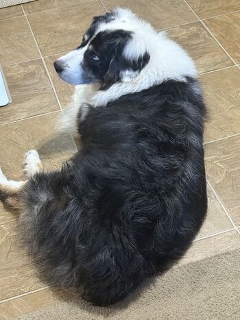 Full leaked Little bella bunny private onlyfans photo