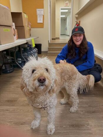 Full leaked Lola tung private onlyfans photo