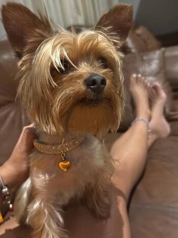 Full leaked Lucero balboa private onlyfans photo