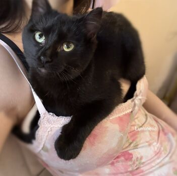 Full leaked Lumineiia page private onlyfans photo