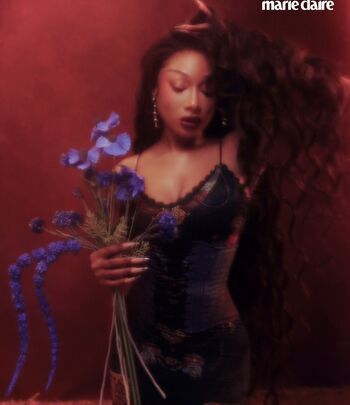 Full leaked Megan thee stallion  page private onlyfans photo