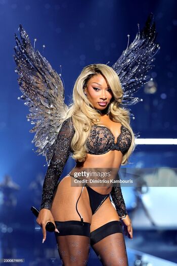 Full leaked Megan thee stallion page private onlyfans photo