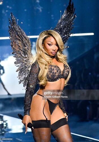 Full leaked Megan thee stallion page private onlyfans photo