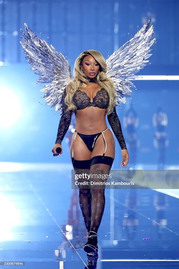 Full leaked Megan thee stallion page private onlyfans photo