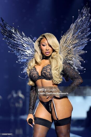 Full leaked Megan thee stallion page private onlyfans photo