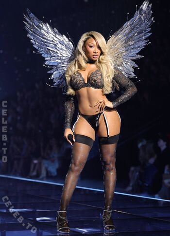 Full leaked Megan thee stallion private onlyfans photo