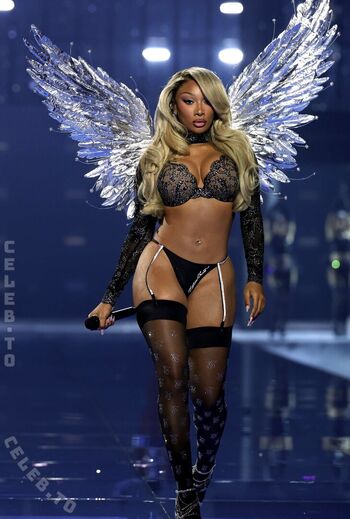 Full leaked Megan thee stallion private onlyfans photo