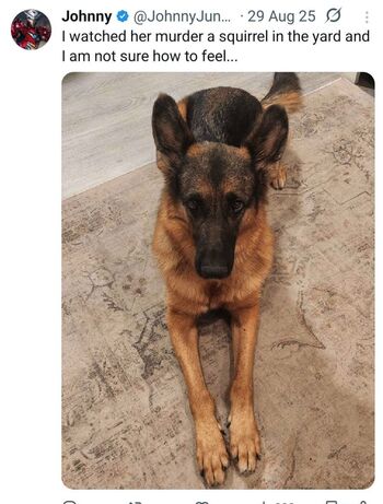 Full leaked Melonie mac page private onlyfans photo