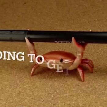 Full leaked Meowprincess private onlyfans photo