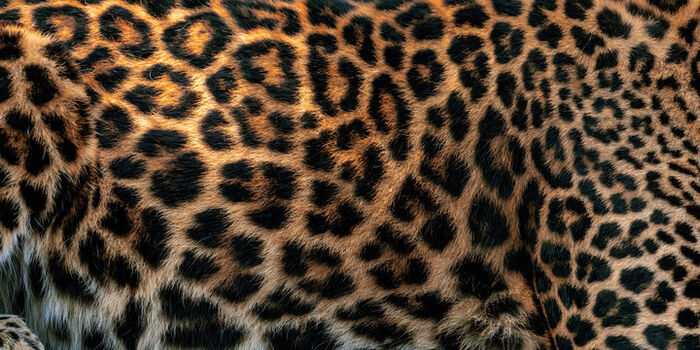 Full leaked Missmadameelvira private onlyfans photo