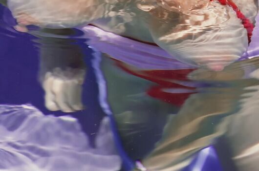 ModelMommyCEO