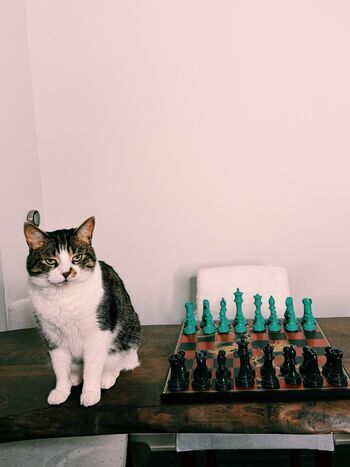 Full leaked Nemsko  page private onlyfans photo