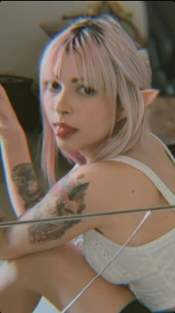 Ninelaris