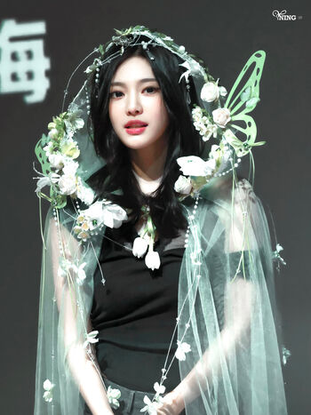 Full leaked Ningning aespa page private onlyfans photo