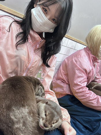 Full leaked Noir asmr private onlyfans photo