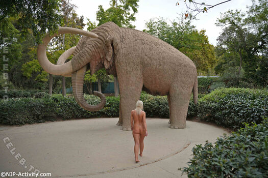 Nude In Public