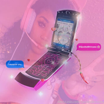 officialprincessdom
