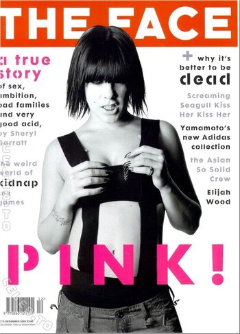 Full leaked Pinkvideovault page private onlyfans photo