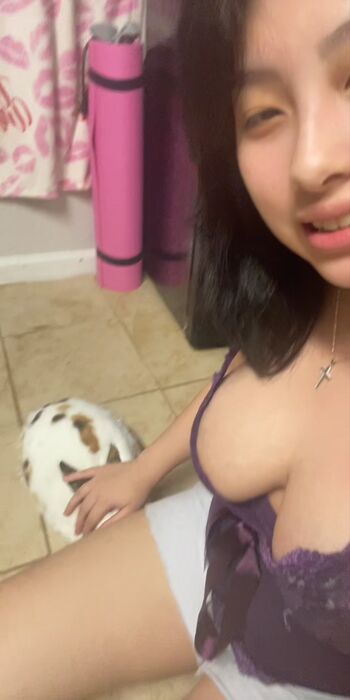 Pixie.housewife