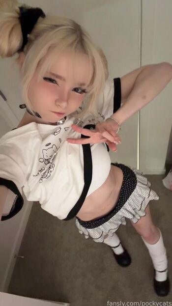 Pockycats