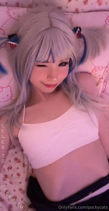 Pockycats