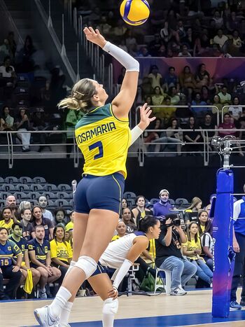 Rosamaria Montibeller