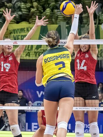 Full leaked Rosamaria montibeller private onlyfans photo