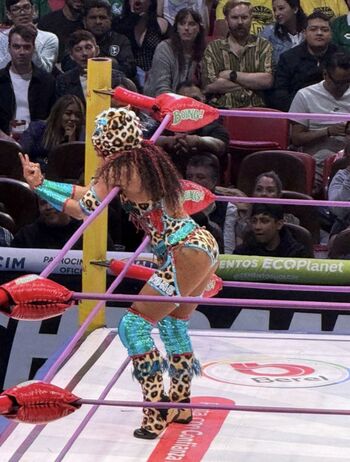 Full leaked Sasha banks page private onlyfans photo