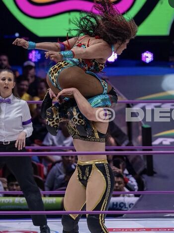 Full leaked Sasha banks page private onlyfans photo