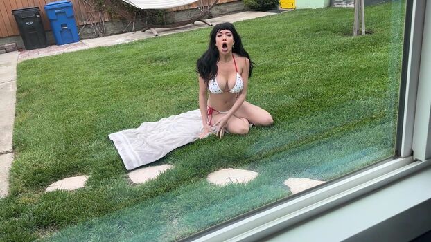 Scott Stark | Household Fantasy |