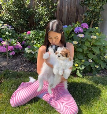 Full leaked Shannon zhao page private onlyfans photo