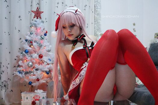 shiro.konekochan