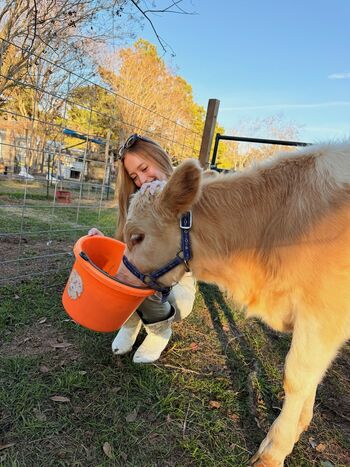 Full leaked Sophia diamond  page private onlyfans photo