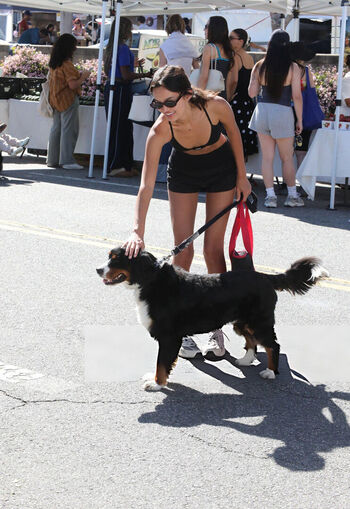 Full leaked Sophia hammons private onlyfans photo