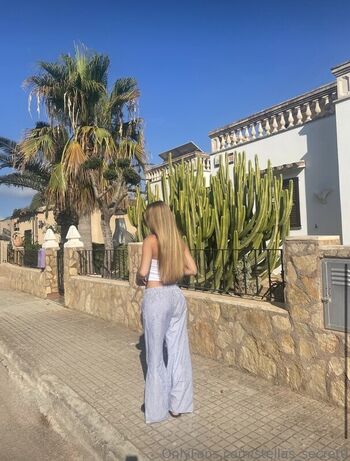 Stellas_secret0