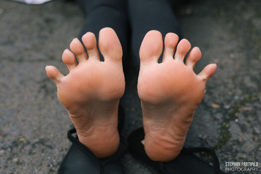 Stephan Partipilo