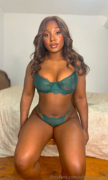 Full leaked Sydneyvauclair private onlyfans photo
