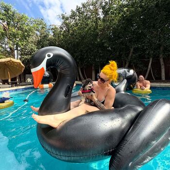 Taya Valkyrie