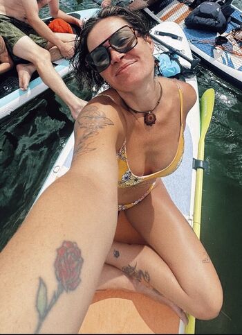 Taylor Cook