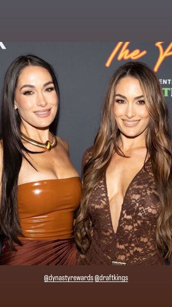 The Bella Twins
