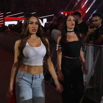 The Bella Twins